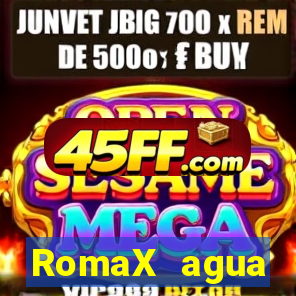RomaX agua sanitaria fispq agua sanitaria romax